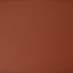 Sexual Empowerment 101 A simple plain brown background ideal for design and copy space needs.